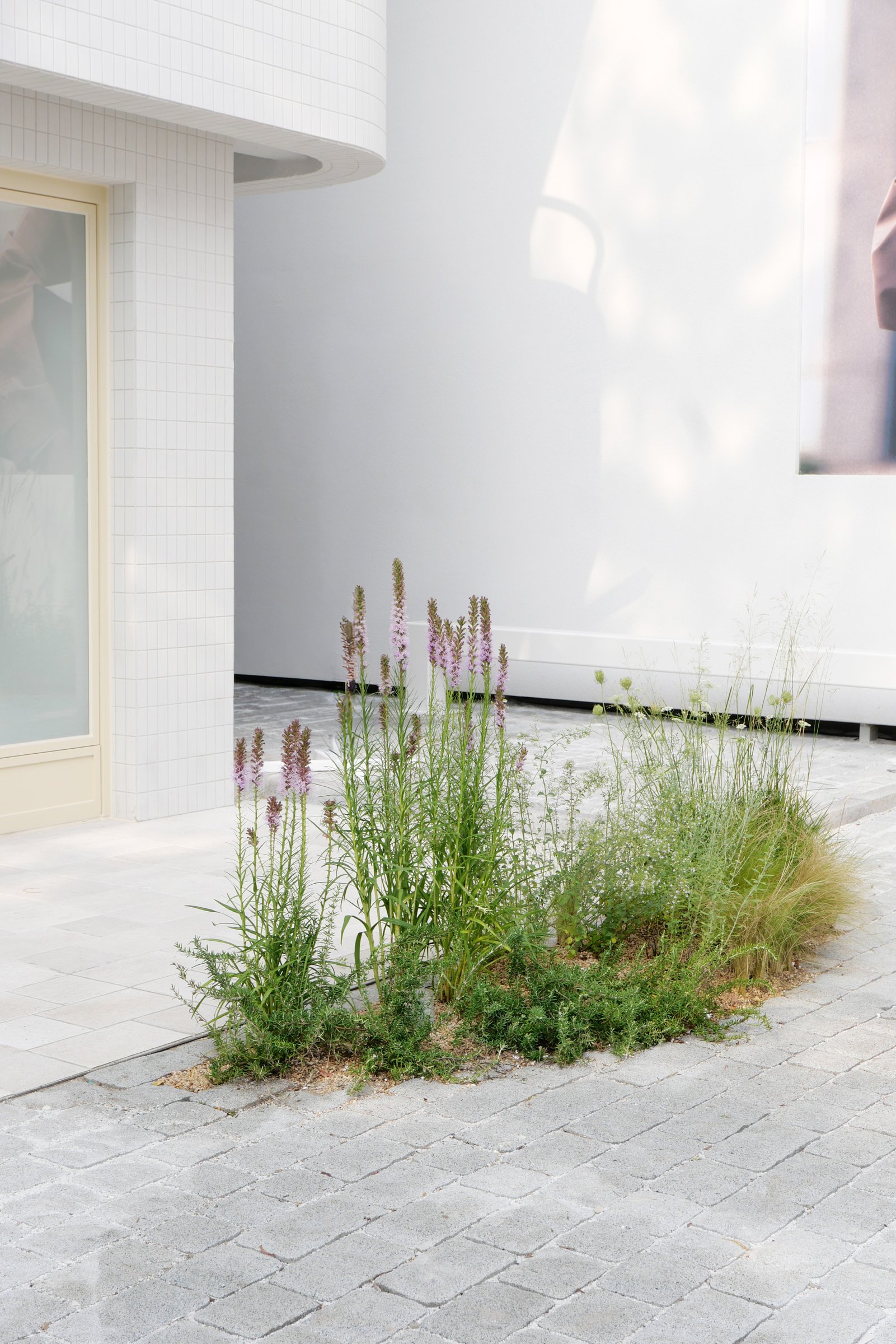 Grove Hannam Showroom — 1F Entrance Garden 5