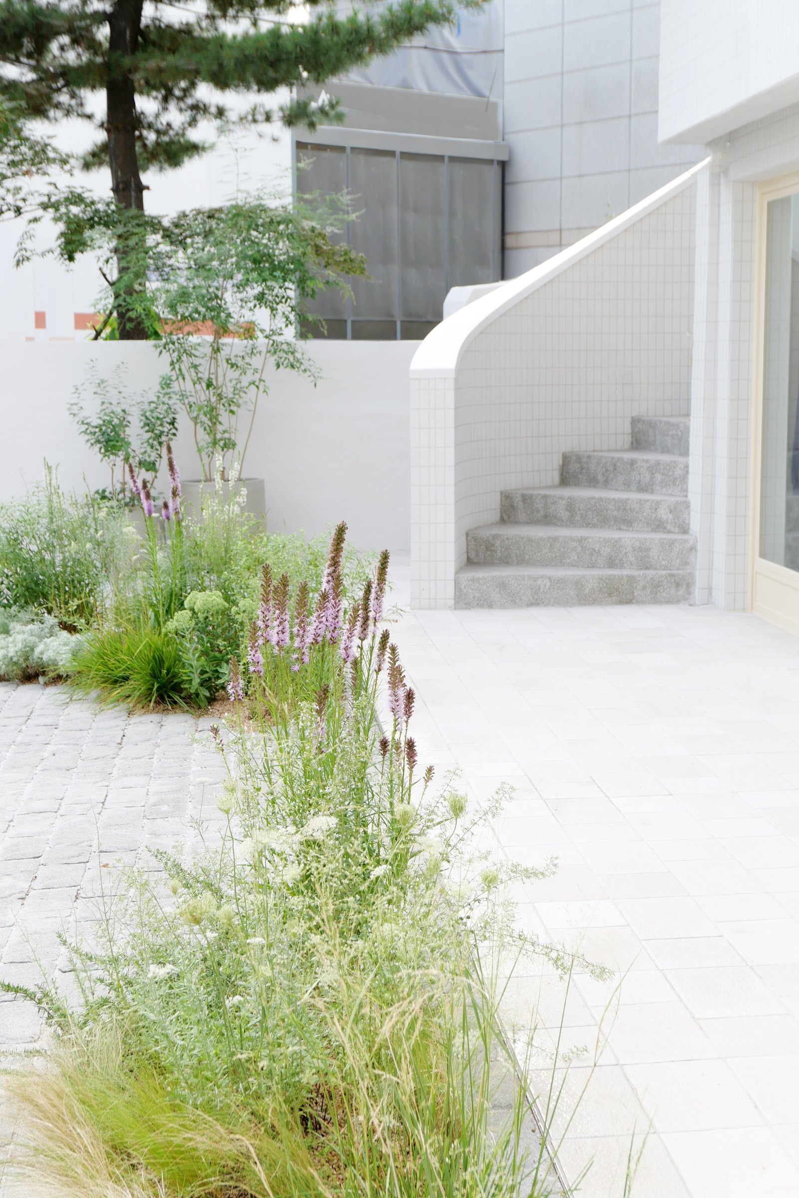 Grove Hannam Showroom — 1F Entrance Garden 6