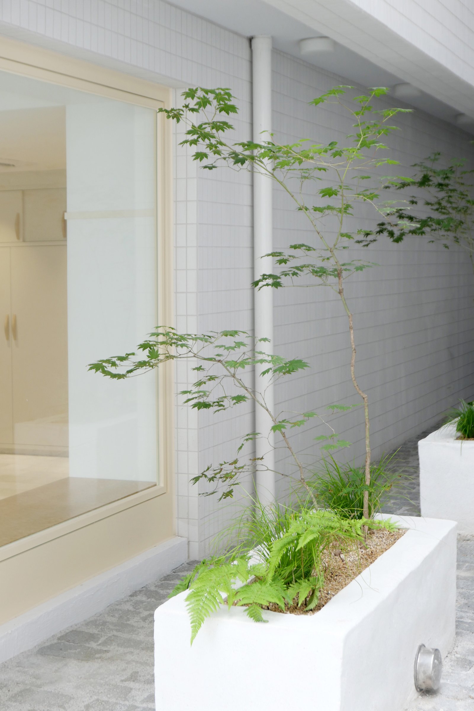 Grove Hannam Showroom — 1F Shade Garden 2