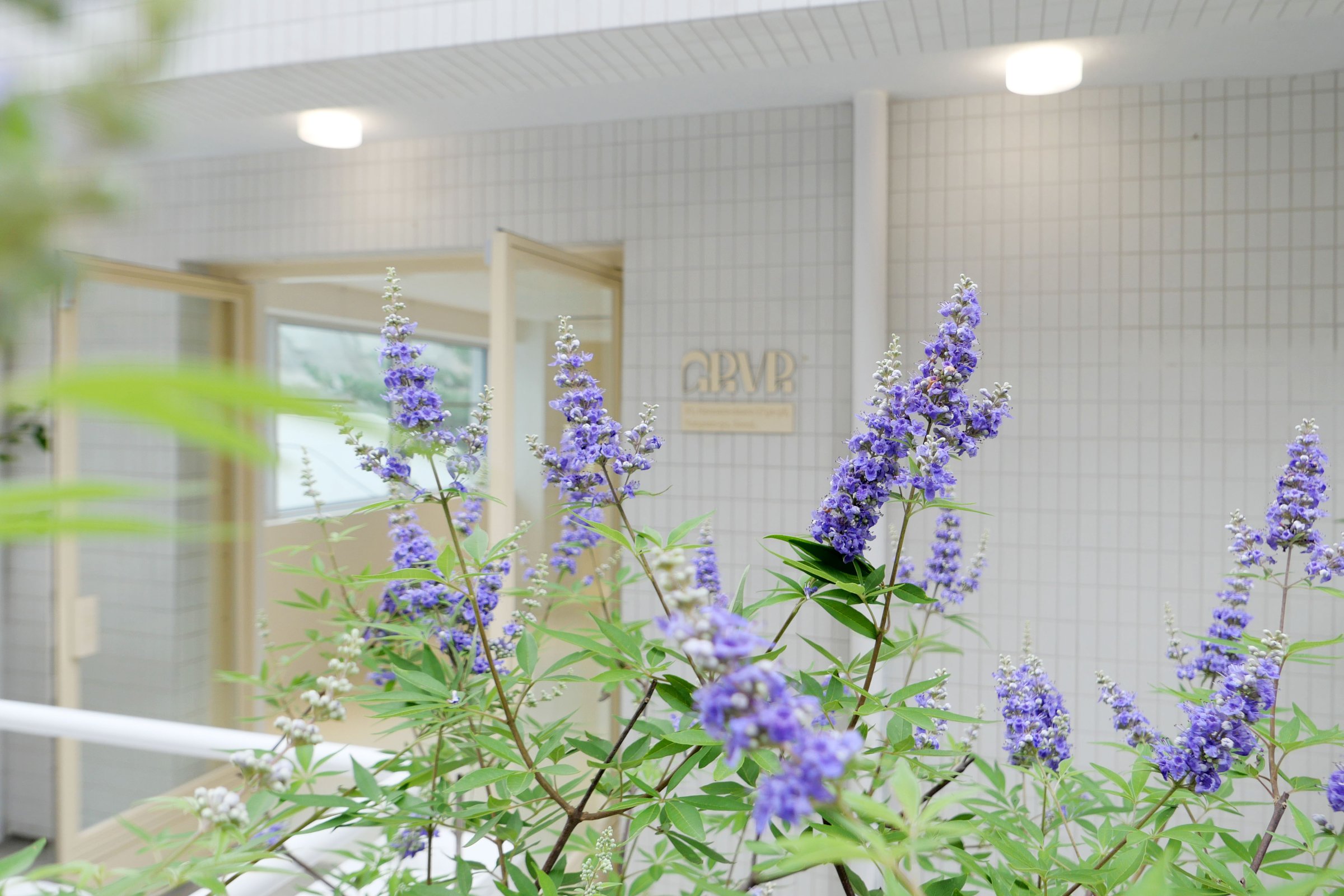 Grove Hannam Showroom — 3F Upper Garden 4