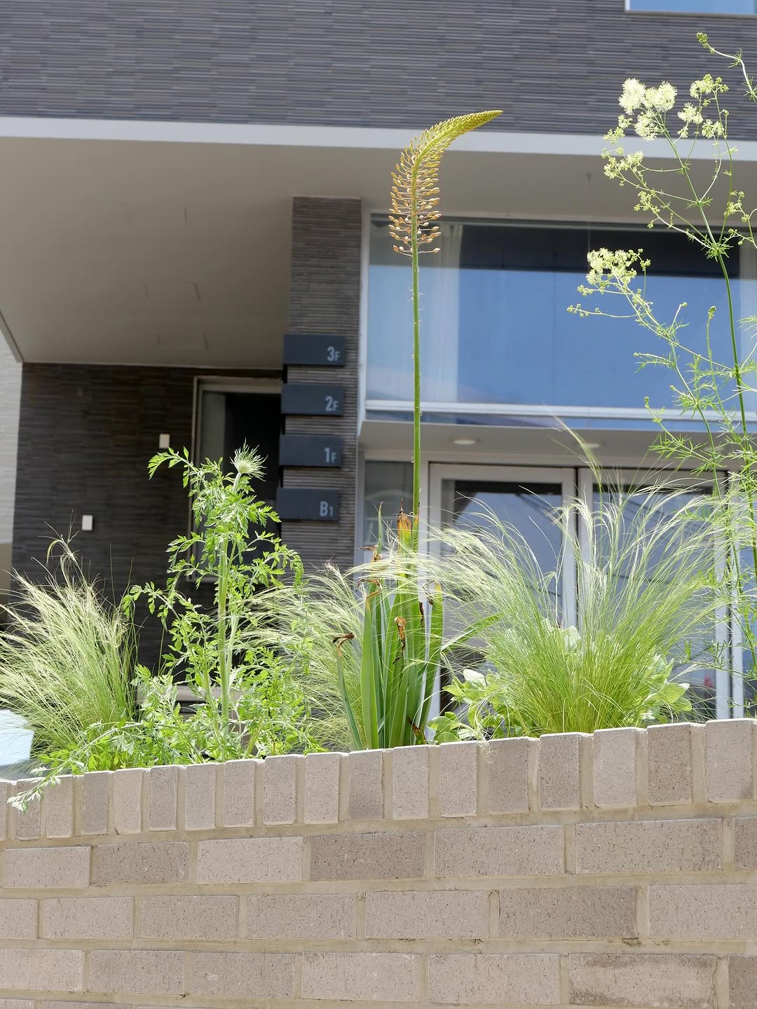 haag nuha home — 5