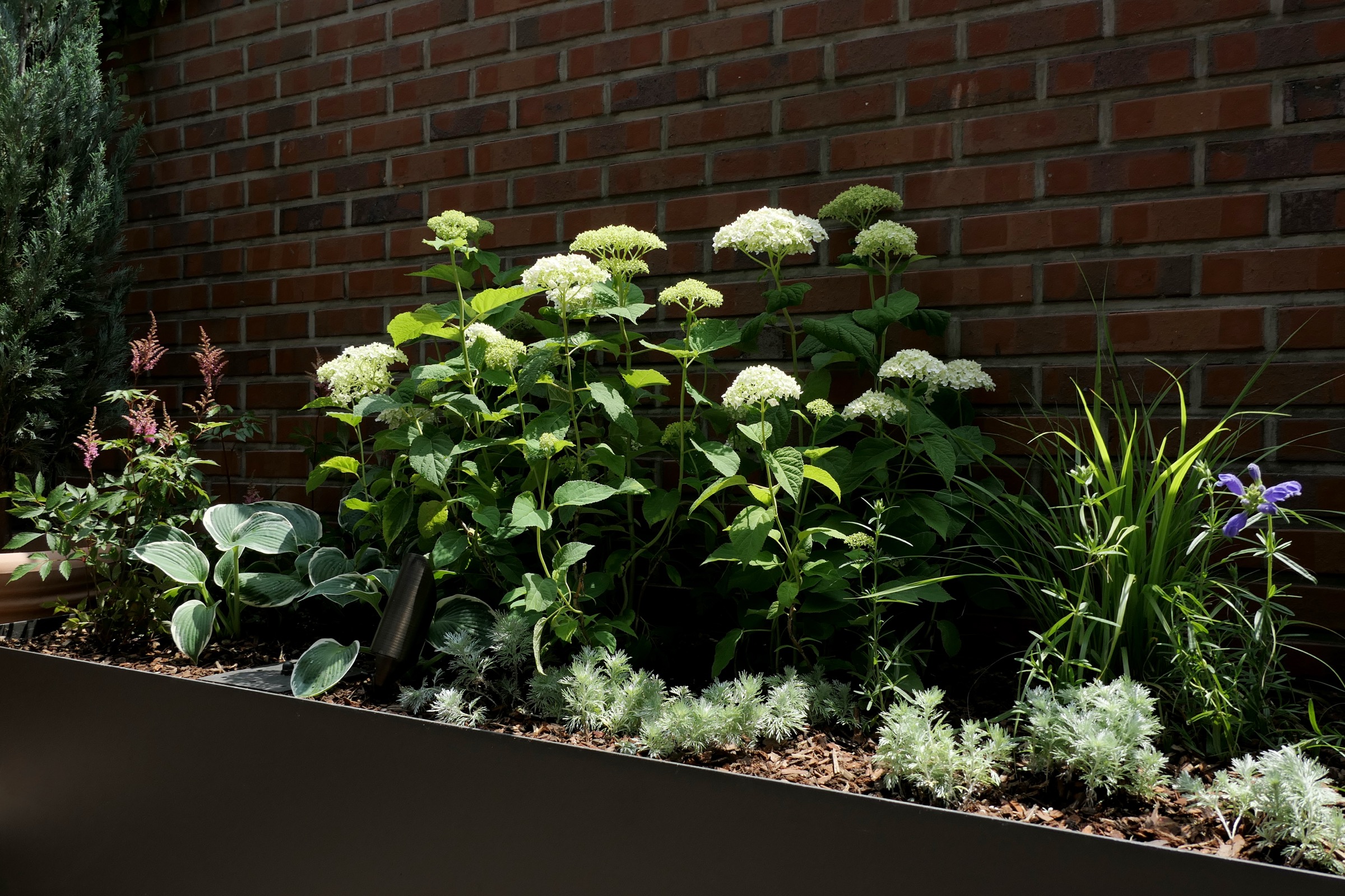 Hillside Garden for Wings — 3
