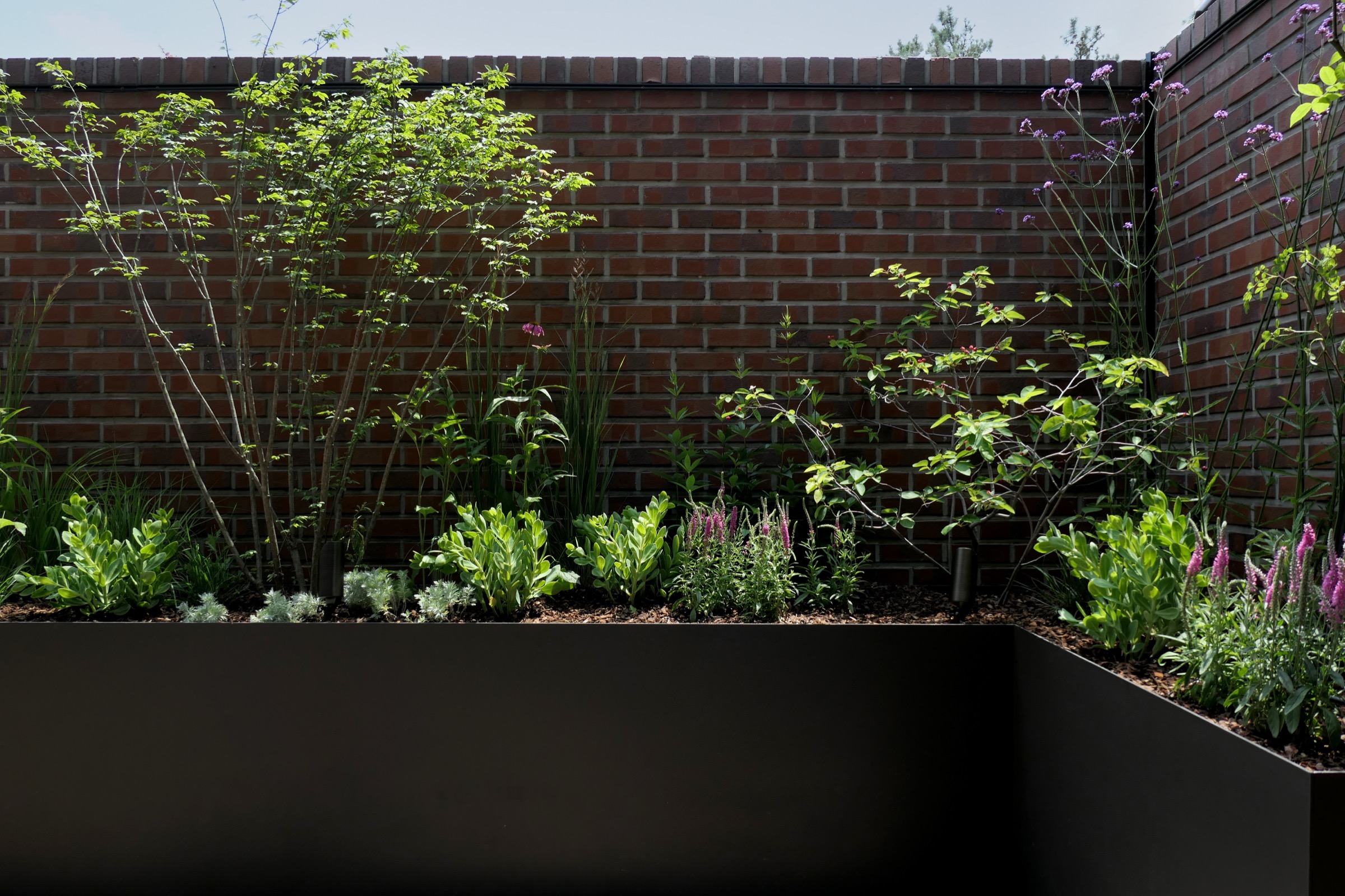 Hillside Garden for Wings — 4