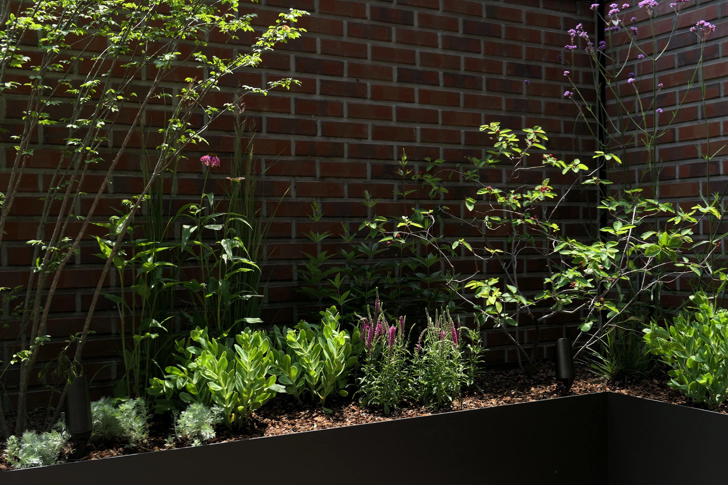 Hillside Garden for Wings — 5