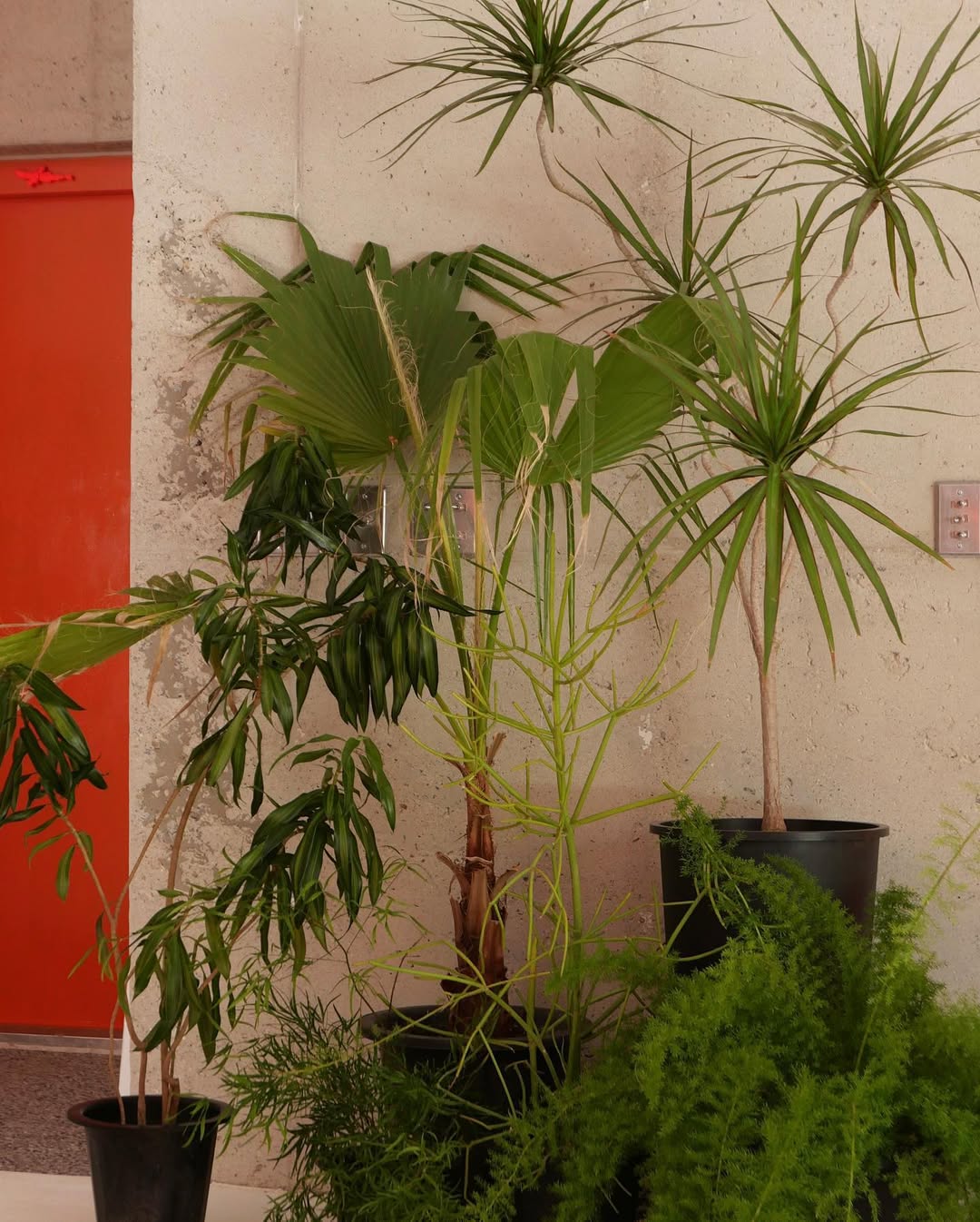 Orange House — 6