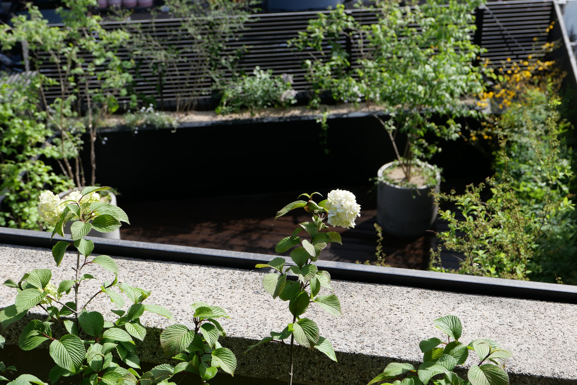 Springcamp Office — 1층 5