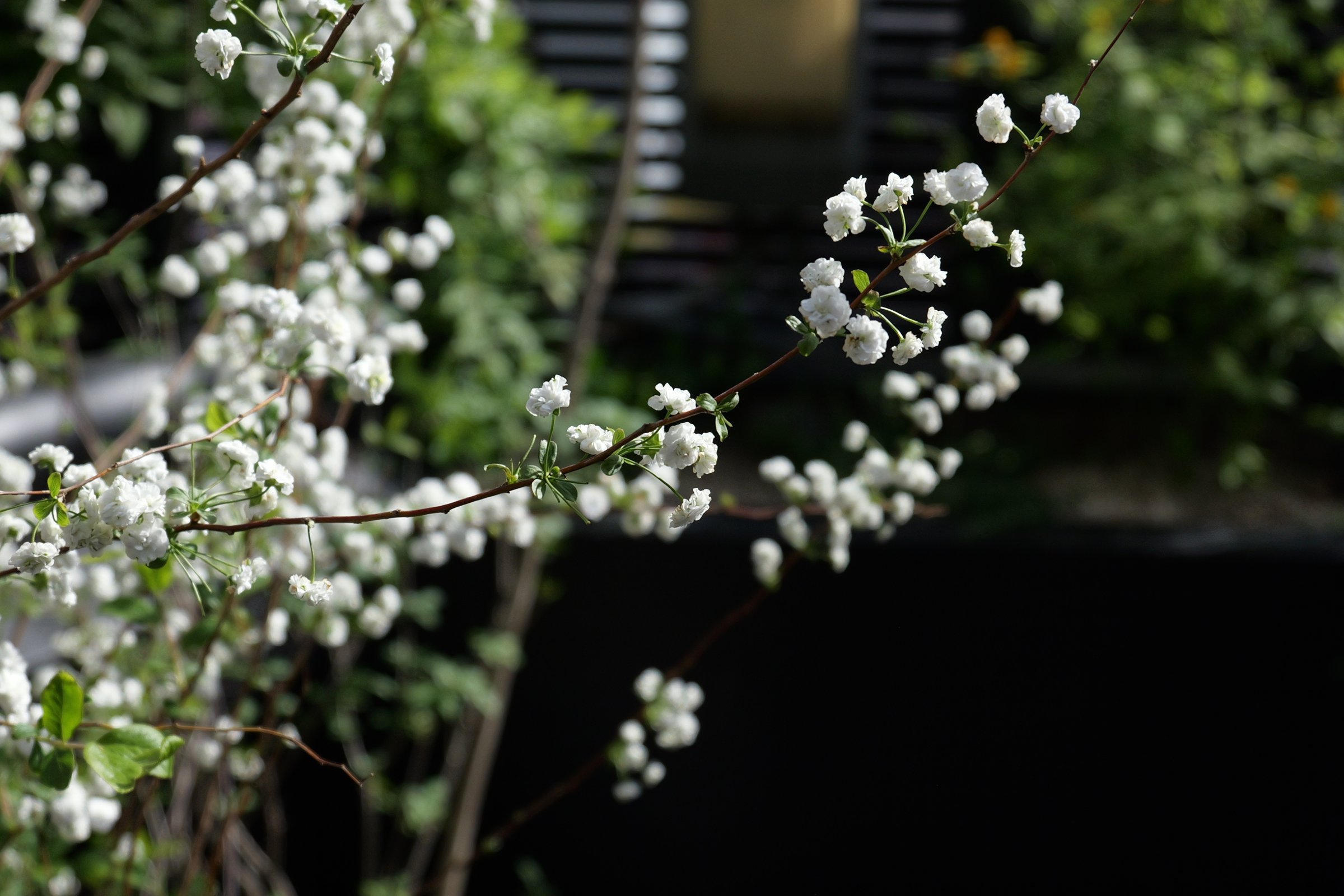 Springcamp Office — 1층 7