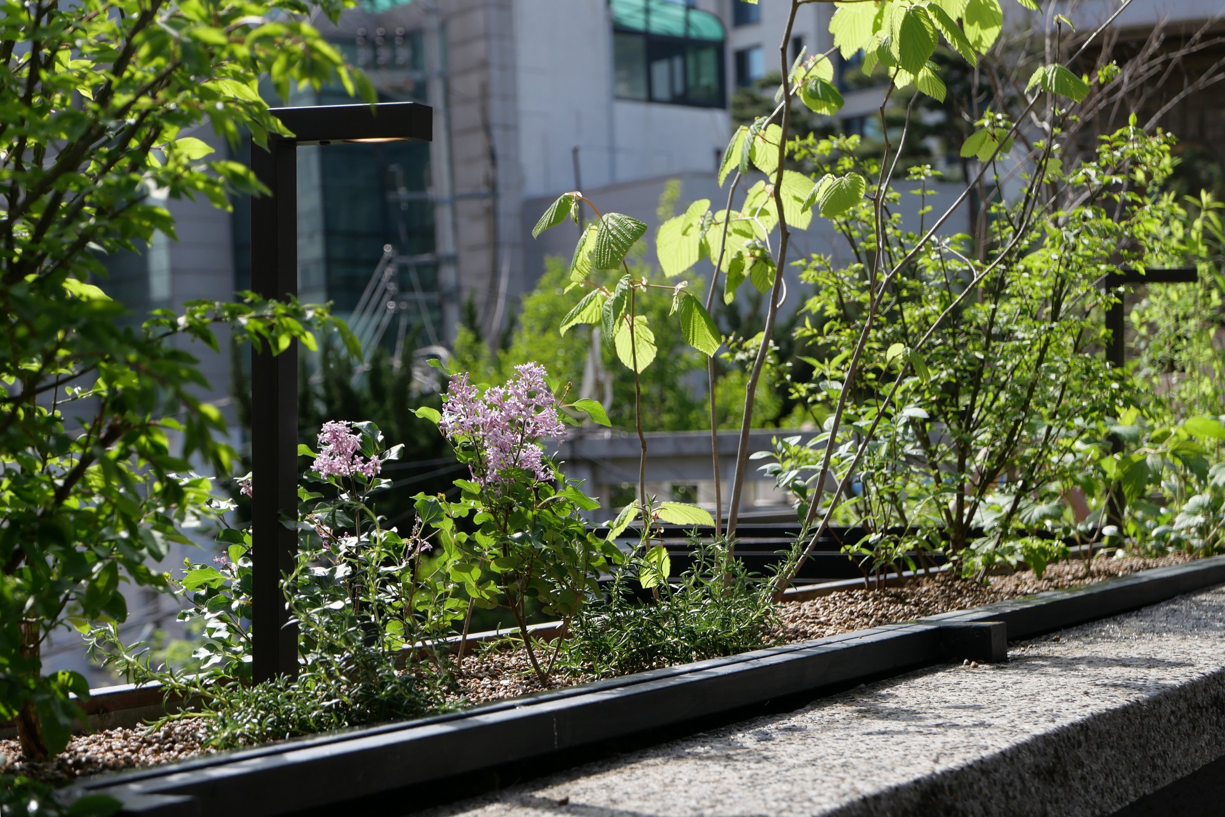 Springcamp Office — 2층 4