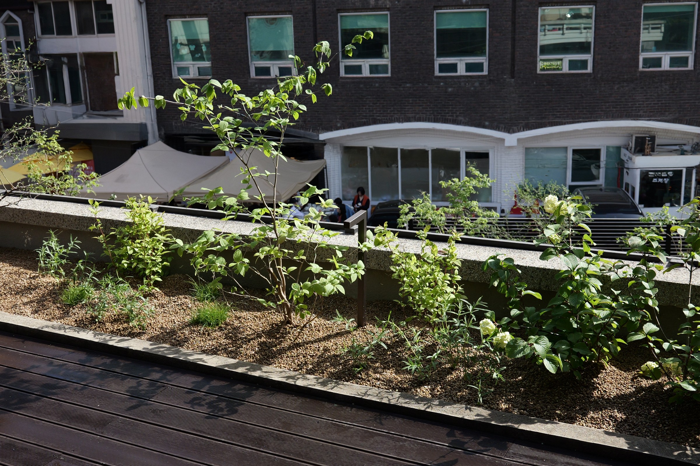 Springcamp Office — 2층 5