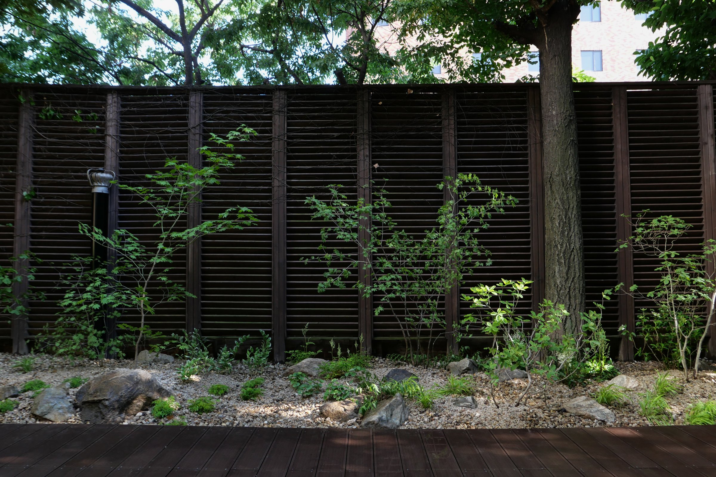 The Layered Forest Garden — 4