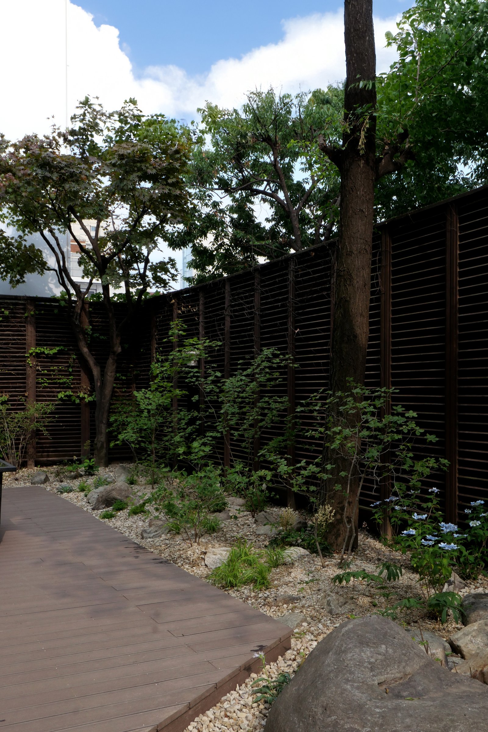 The Layered Forest Garden — 5