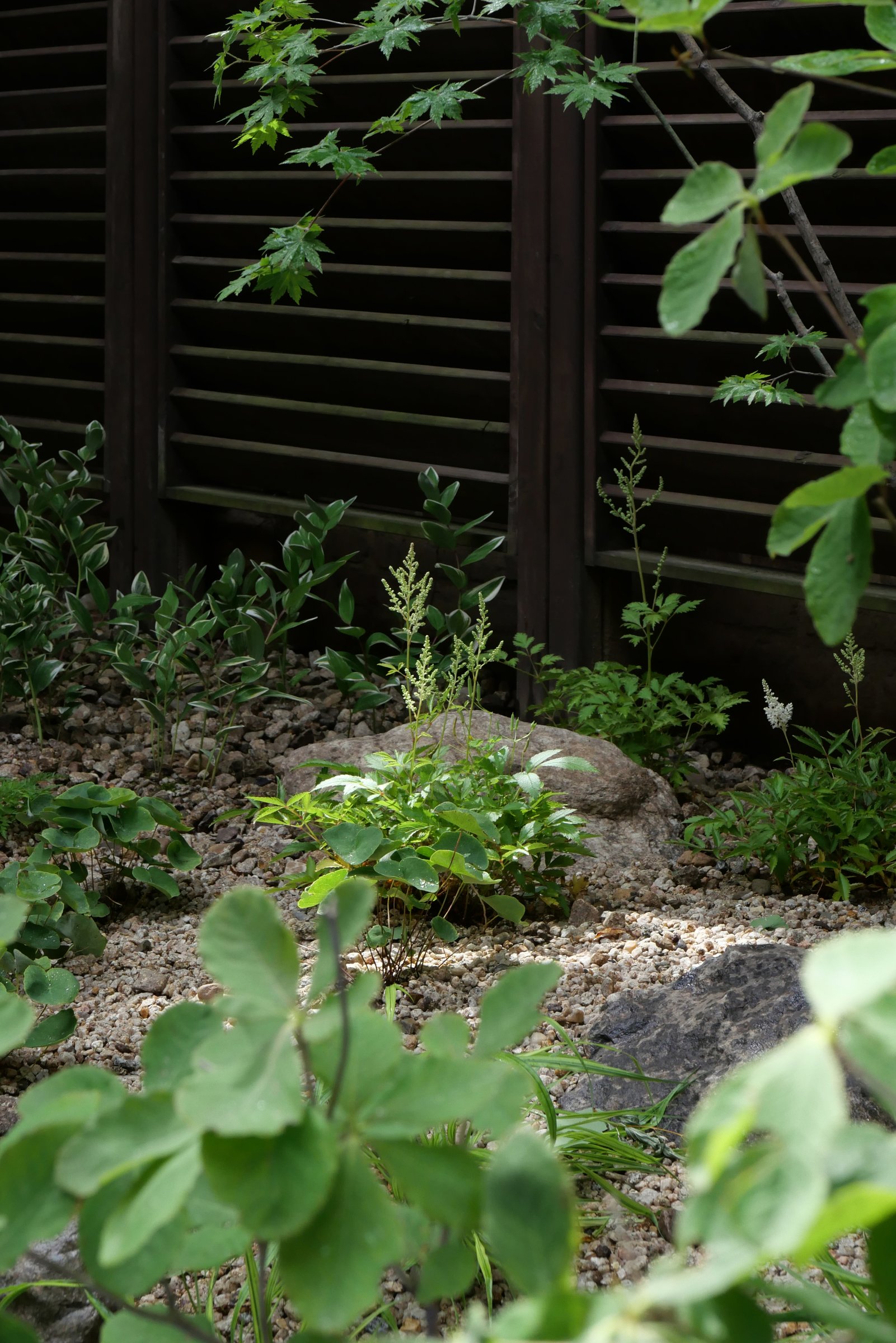 The Layered Forest Garden — 6