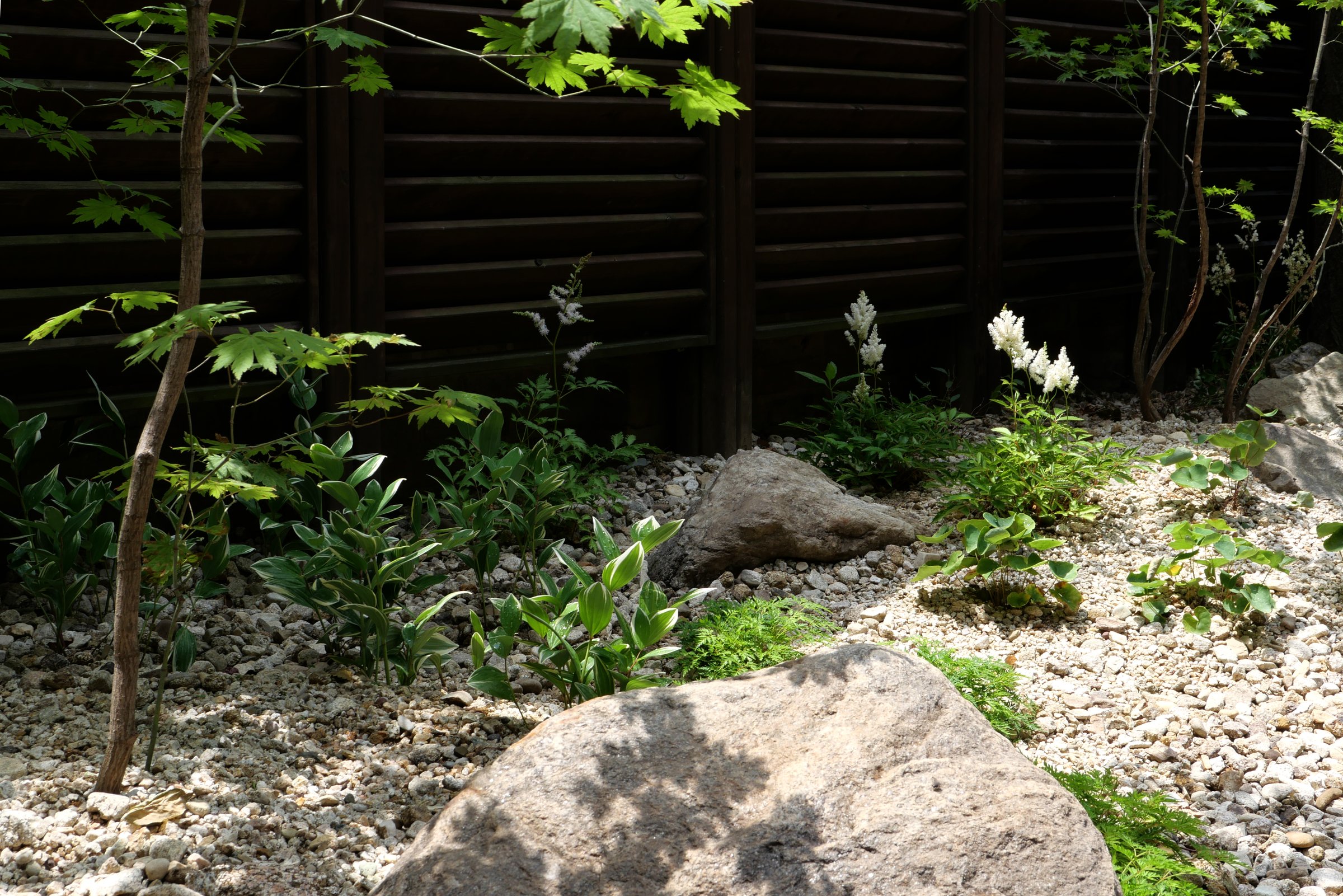 The Layered Forest Garden — 7