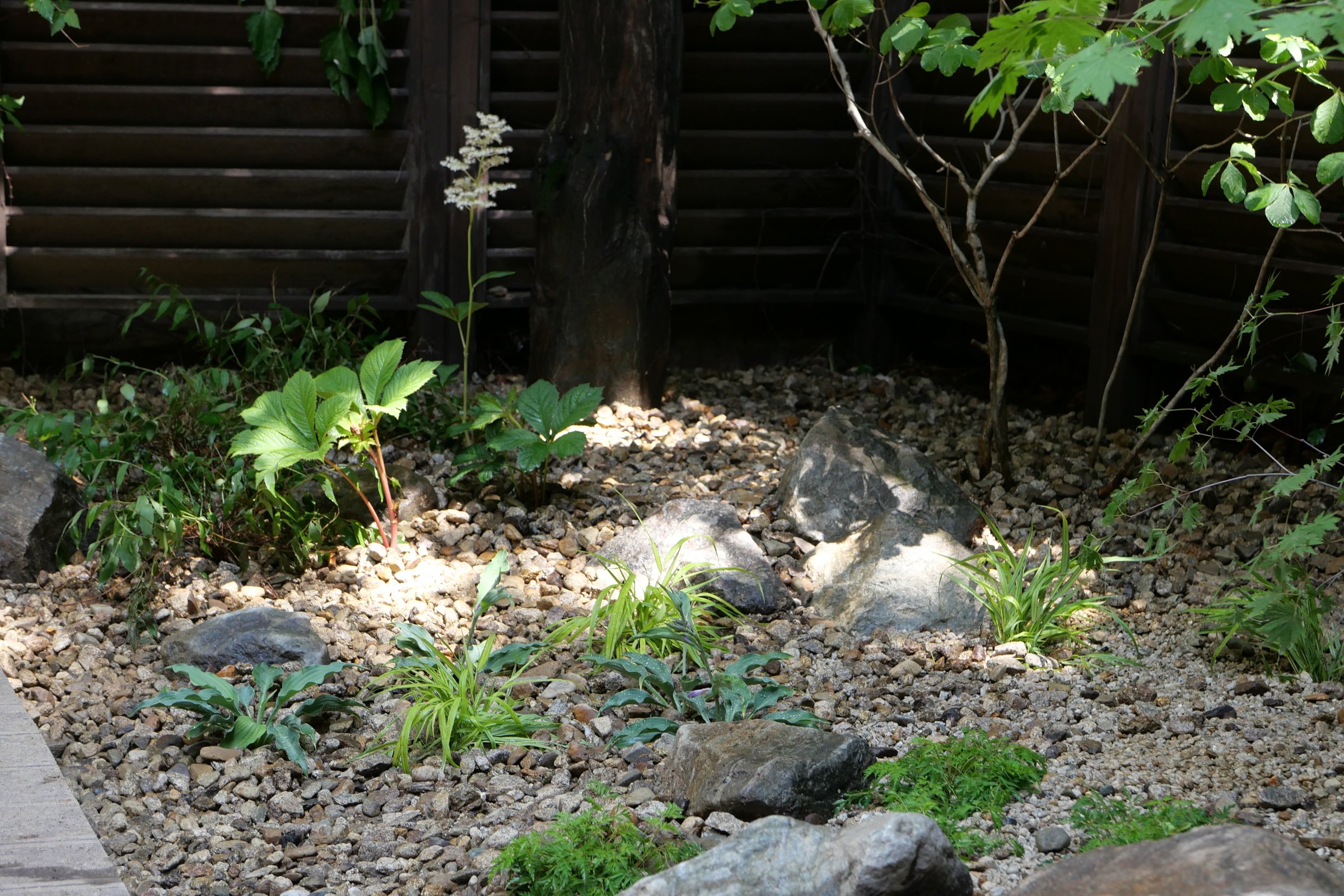 The Layered Forest Garden — 8