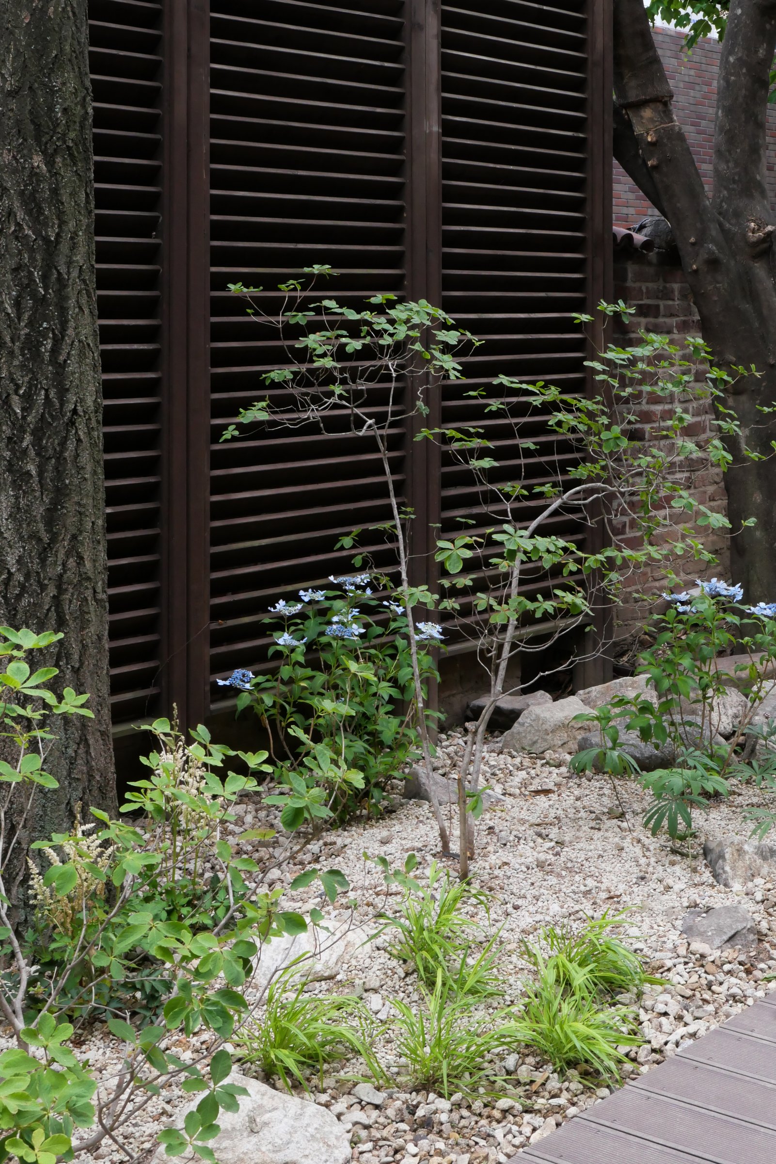 The Layered Forest Garden — 11